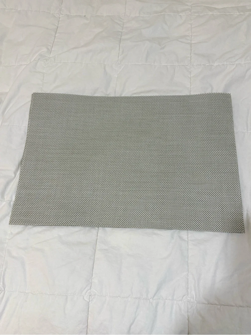 Ava Gray woven Placemat set of 6 NWOT Indoor/Outdoor tag removed
